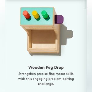 Lovevery Wooden Peg Drop Toy